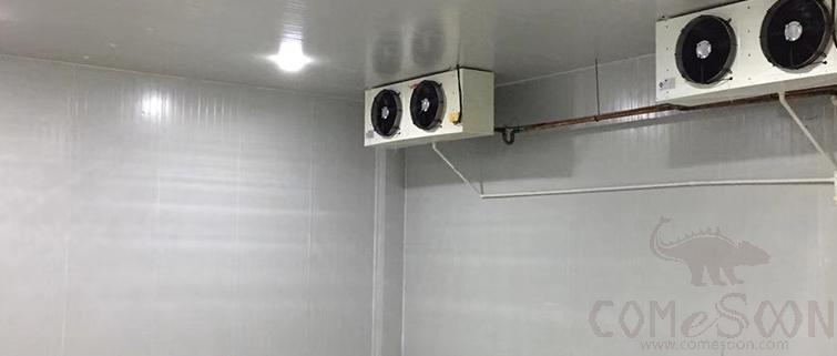 Cold Room