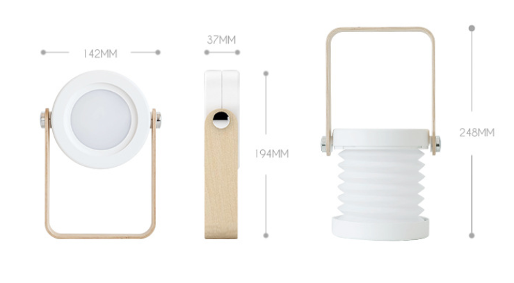 Lantern Lights