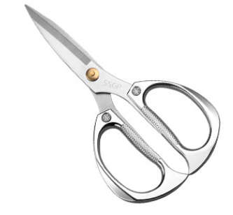 Scissor
