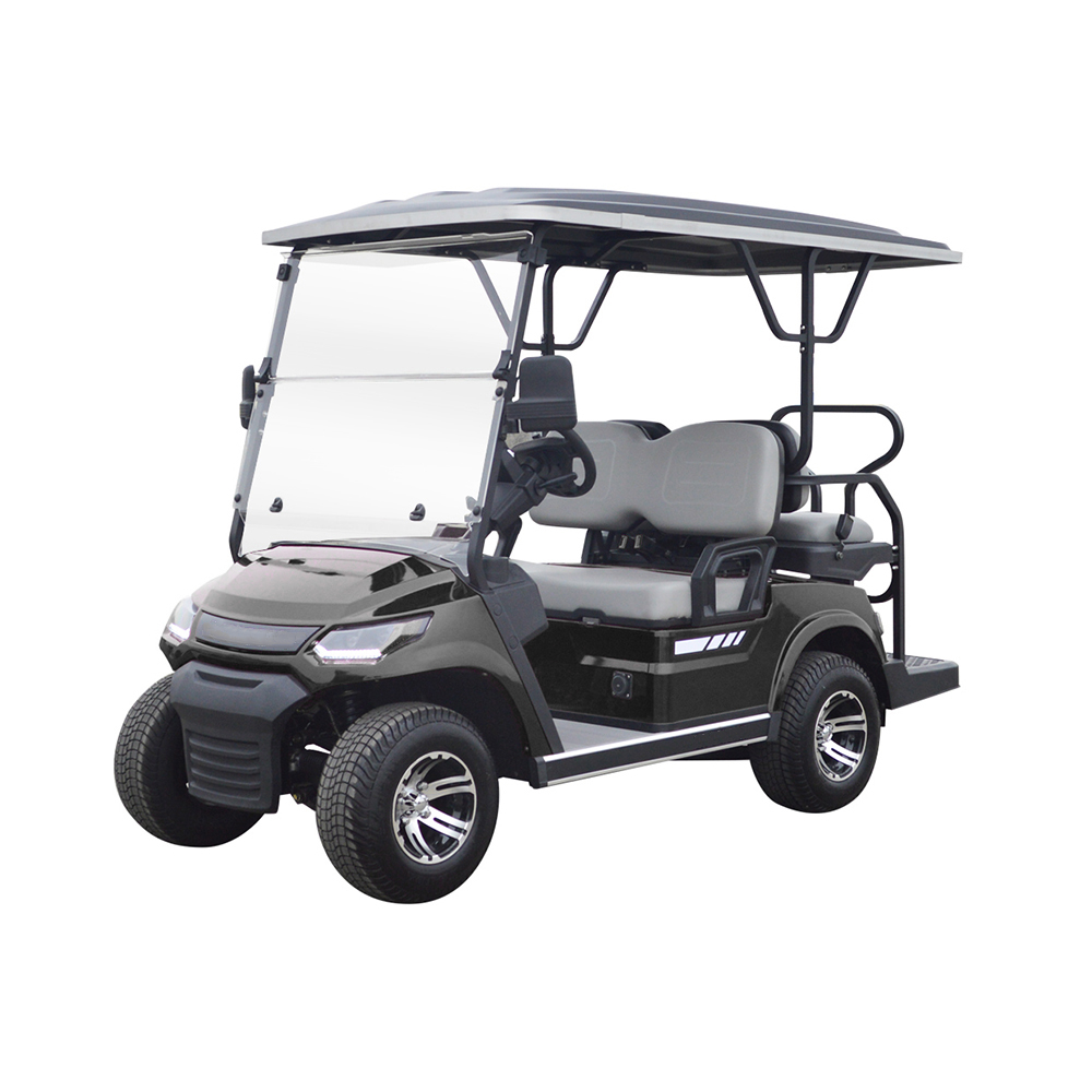 Golf Car- 2+2seat - 4KW - (80-100)km