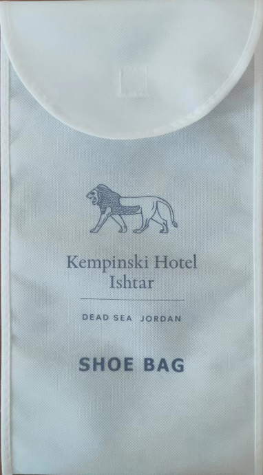 Shoe Bag-Non Woven Fabric ，21cm*36cm