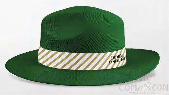 Straw Hat With Logo，Ribbon,Adult Male,Green,S Code