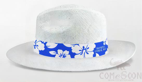 Straw Hat With Logo，Ribbon,Women,White,M Code