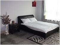 Leather bed