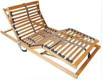 Ldream electric row skeleton bed frame lifting sheet people German motor nursing bed rm-E03