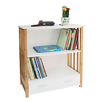 2 pumping book cabinet