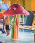 Aquatic game - sprinkler option 2
