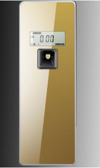 Light Sense Fragrance Sprayer-With Screen - Stainless steel