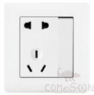 1 gang 1 way switch and 10A 5pole socket