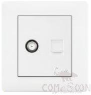 Satellite+TEL socket