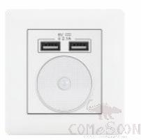 Light sensor night with two USB