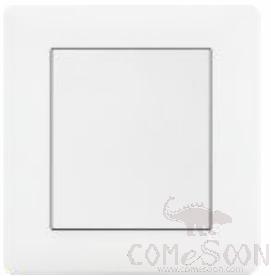 Blank panel