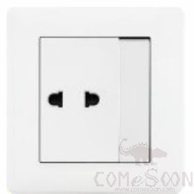 1 gang switch with 10A 2pole socket