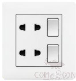 2 gang switch with 10A 4pole socket