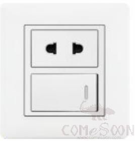 Half 1 gang switch with 10A 2pole socket