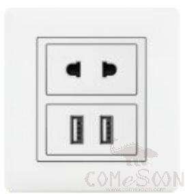 Half 10A 2pole+2USB socket