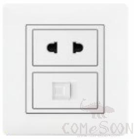 Half 10A 2pole+TV socket