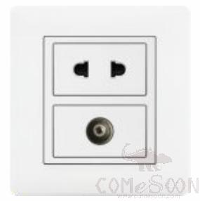 Half 10A 2pole+computer socket