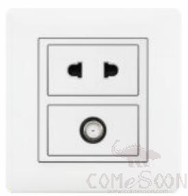 Half 10A 2pole+Satellite socket