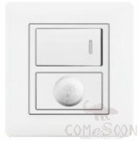 Half 2 gang switch+Dimmer switch