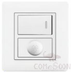 Half 1 gang switch+Speed switch