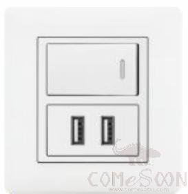 Half 1 gang switch+2 USB socket