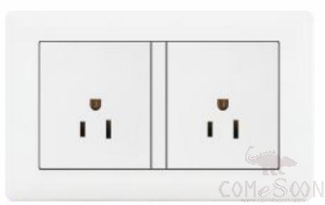 Double 15A American Flat 3-pole socket