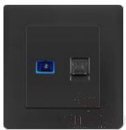 Optical fiber+TEL socket