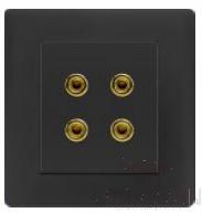 Dual audio socket