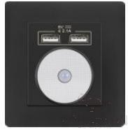 Light sensor night light with two USB