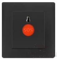 Emergency call switch