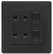 2 gang switch with 10A 4 pole socket