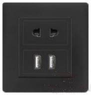 Half 10A 2pole+2USB socket