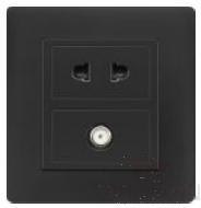 Half 10A 2pole+Satellite socket