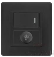 Half 1 gang switch+Dimmer switch