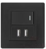 Half 1 gang switch+2 USB socket