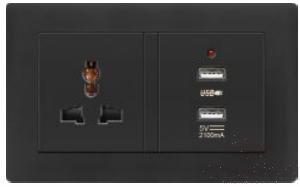 13A multi-function socket+ 2 USB socket