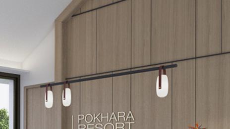 Pendant Lights