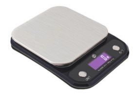 Electronic scale