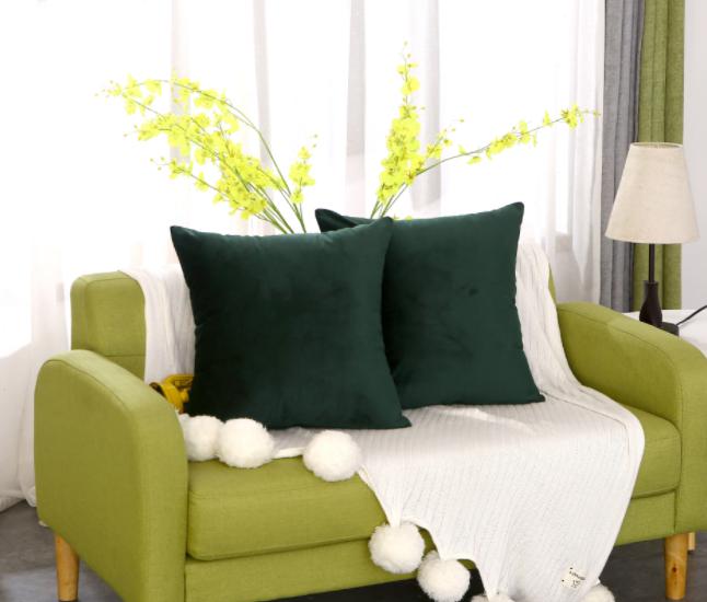 Cushion Cover-Velvet，55*55cm