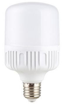 LED bulb10W