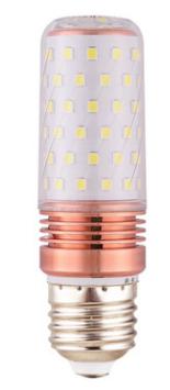 LED bulb12W