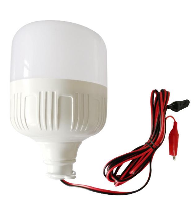 LED bulb20W