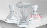 Pendant Lights