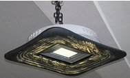 Pendant Lights