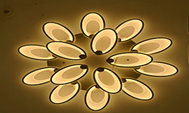 Ceiling Lamps