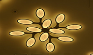 Ceiling Lamps