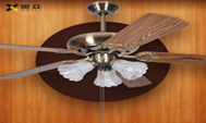 Pendant Lights