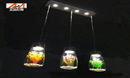 Pendant Lights