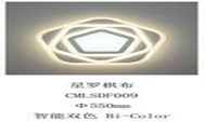 Ceiling Lamps